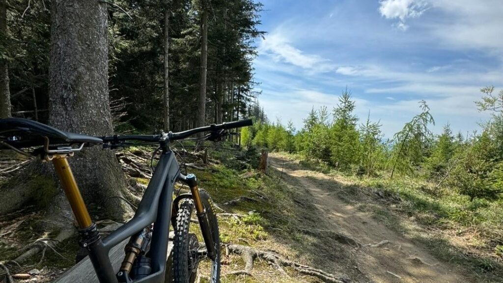 Mountainbiker haben im Salzkammergut viele Möglichkeiten