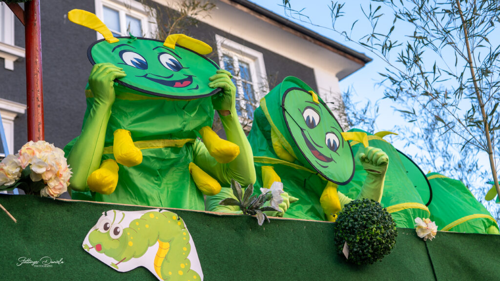 Faschingsumzüge im Salzkammergut
